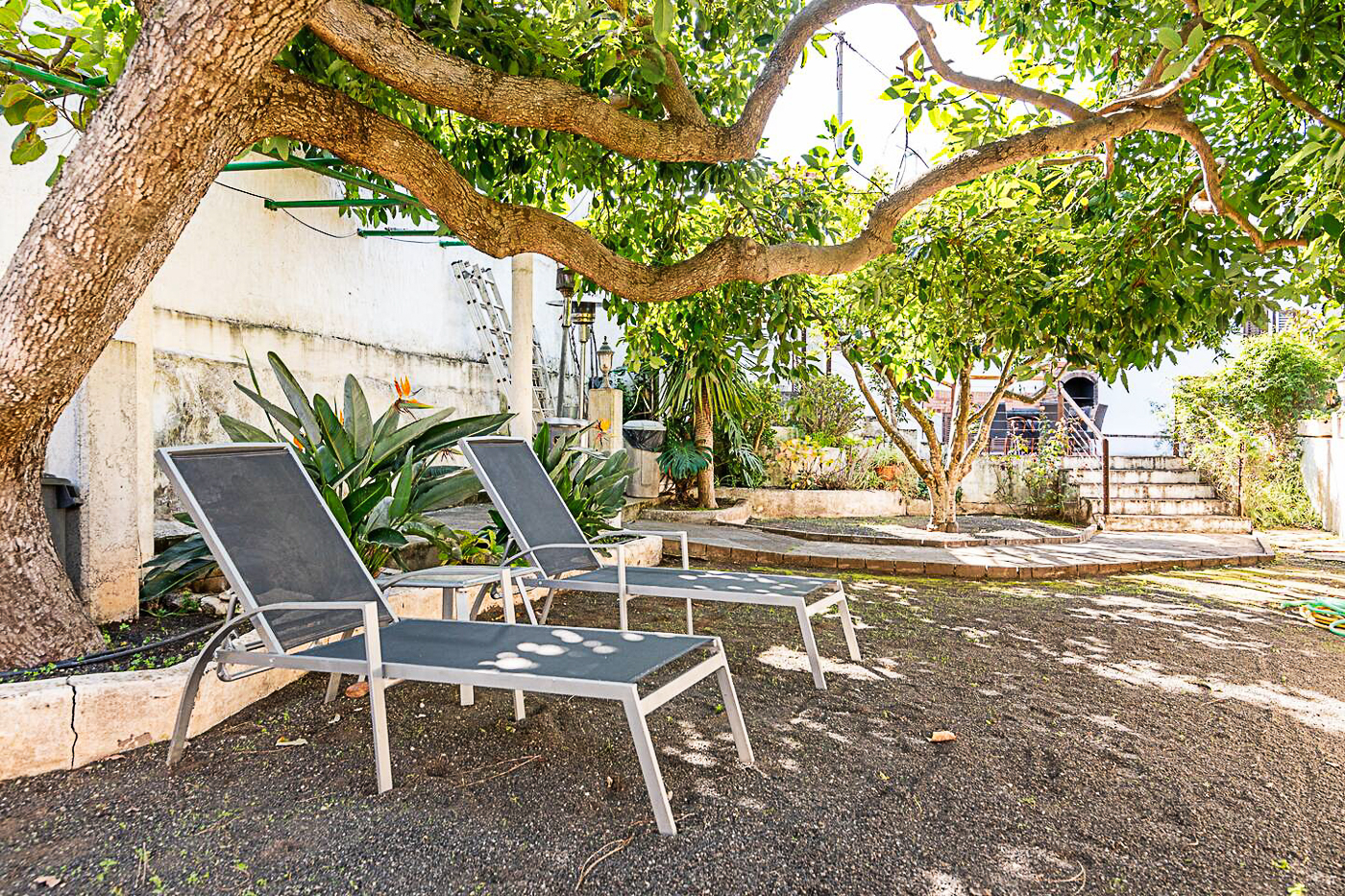 Jardines y finca